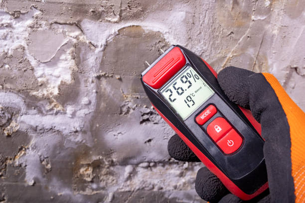 Best Mold Remediation  in Clay City, KY